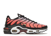Wmns Air Max Plus Sisterhood